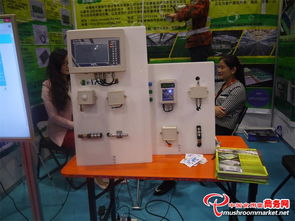 科技賦能 味蕾綻放——3000多項(xiàng)食用菌產(chǎn)品技術(shù)亮相青島會(huì)展，計(jì)量技術(shù)服務(wù)助力產(chǎn)業(yè)升級(jí)