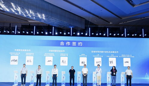 85條供需信息集中發(fā)布，成都開源生態(tài)建設(shè)大會(huì)引領(lǐng)軟件技術(shù)推廣新浪潮