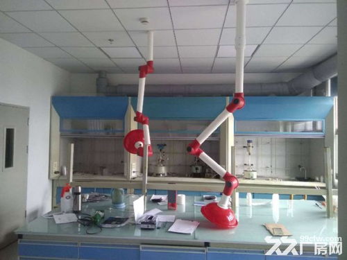 聚焦104板塊 生物醫藥與化工研發新園區——環評無憂，創新驅動未來